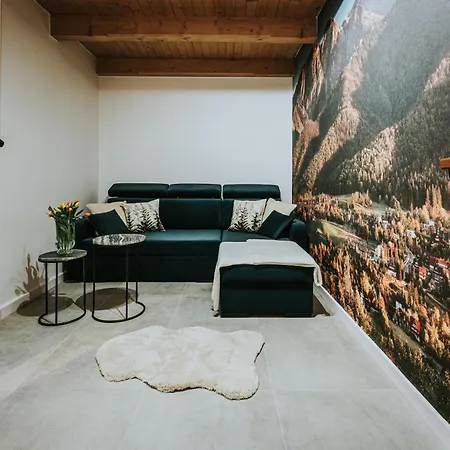 Apartament Visitzakopane Forest *